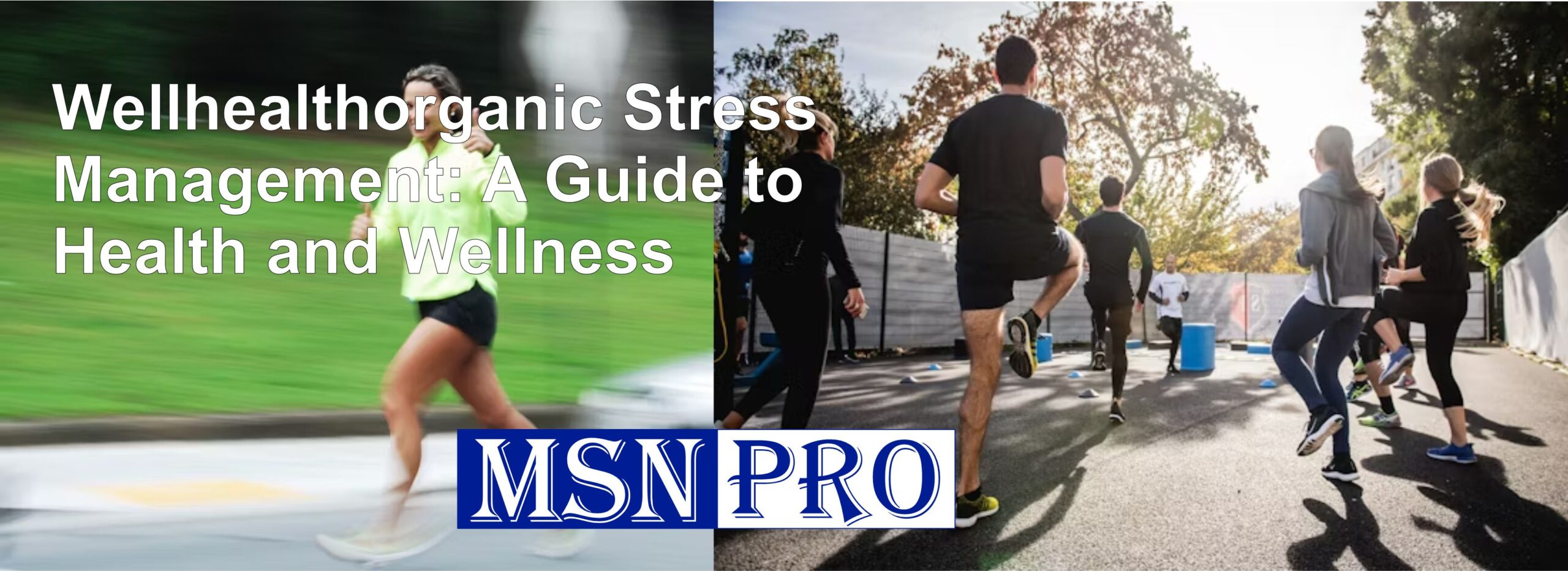 Wellhealthorganic Stress Management: A Guide to Health and Wellness