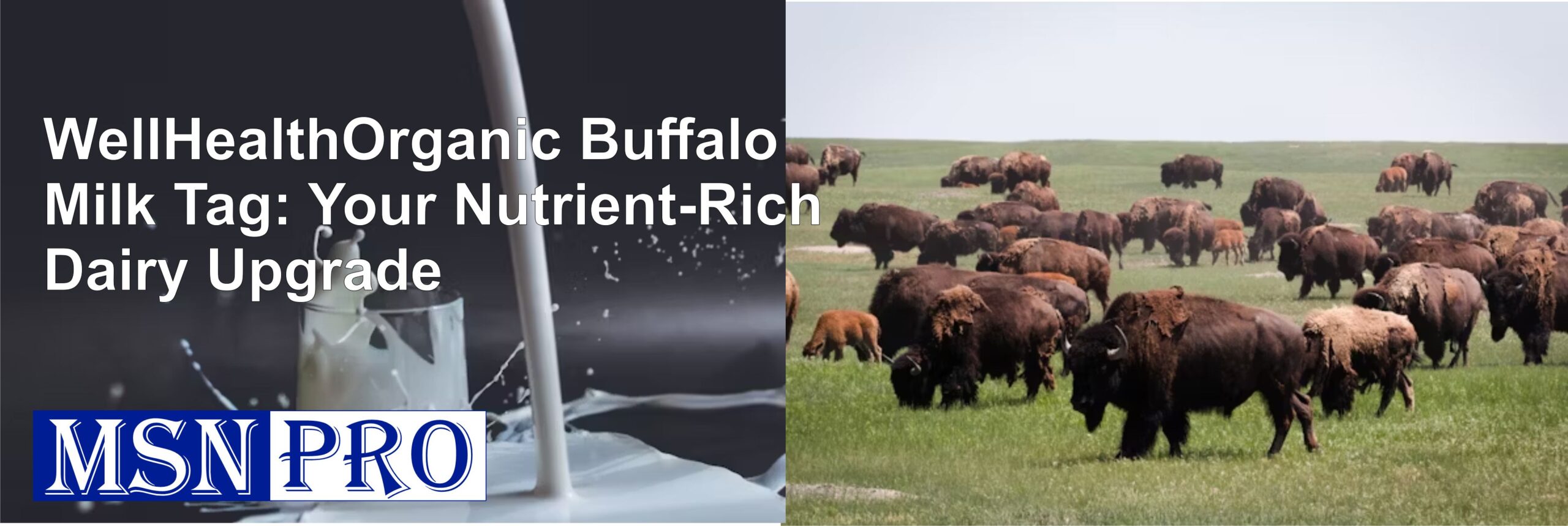 WellHealthOrganic Buffalo Milk Tag: Your Nutrient-Rich Dairy Upgrade