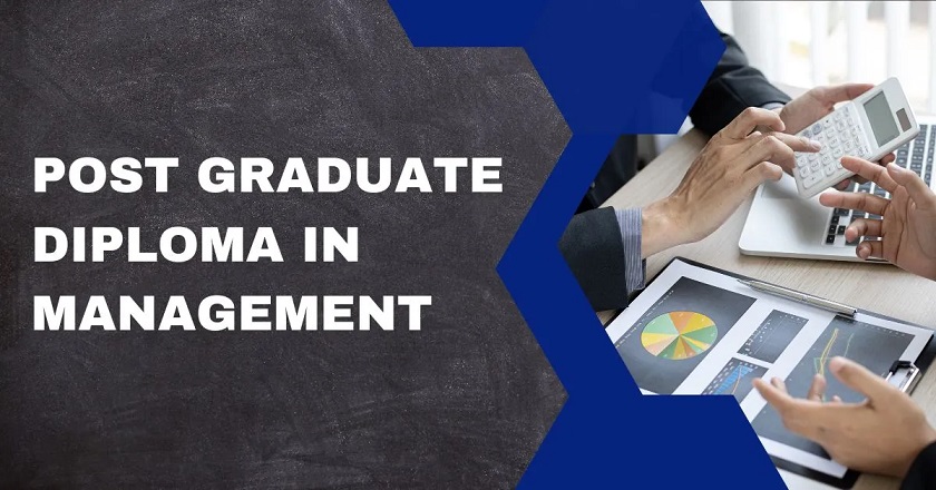 What Is a Postgraduate Diploma in Business, and Who Is It For?